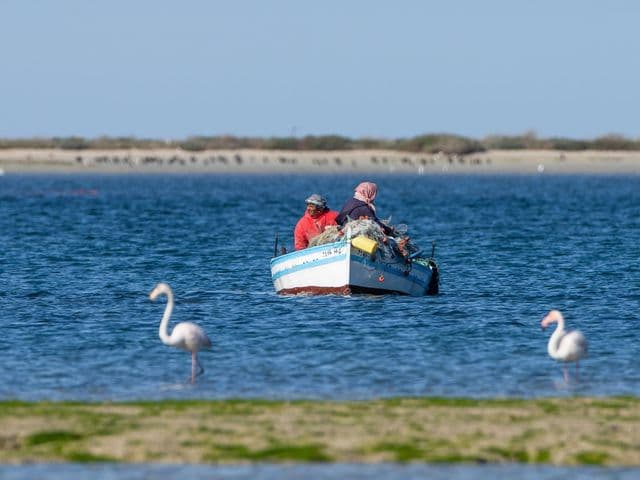 Pêcheurs et flamants roses dans la lagune de Djerba