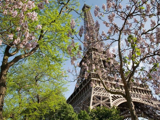 Tour Eiffel au printemps, Paris